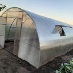 Buy Why does a polycarbonate greenhouse turn green?