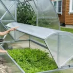 What is the difference between a greenhouse and a hothouse?