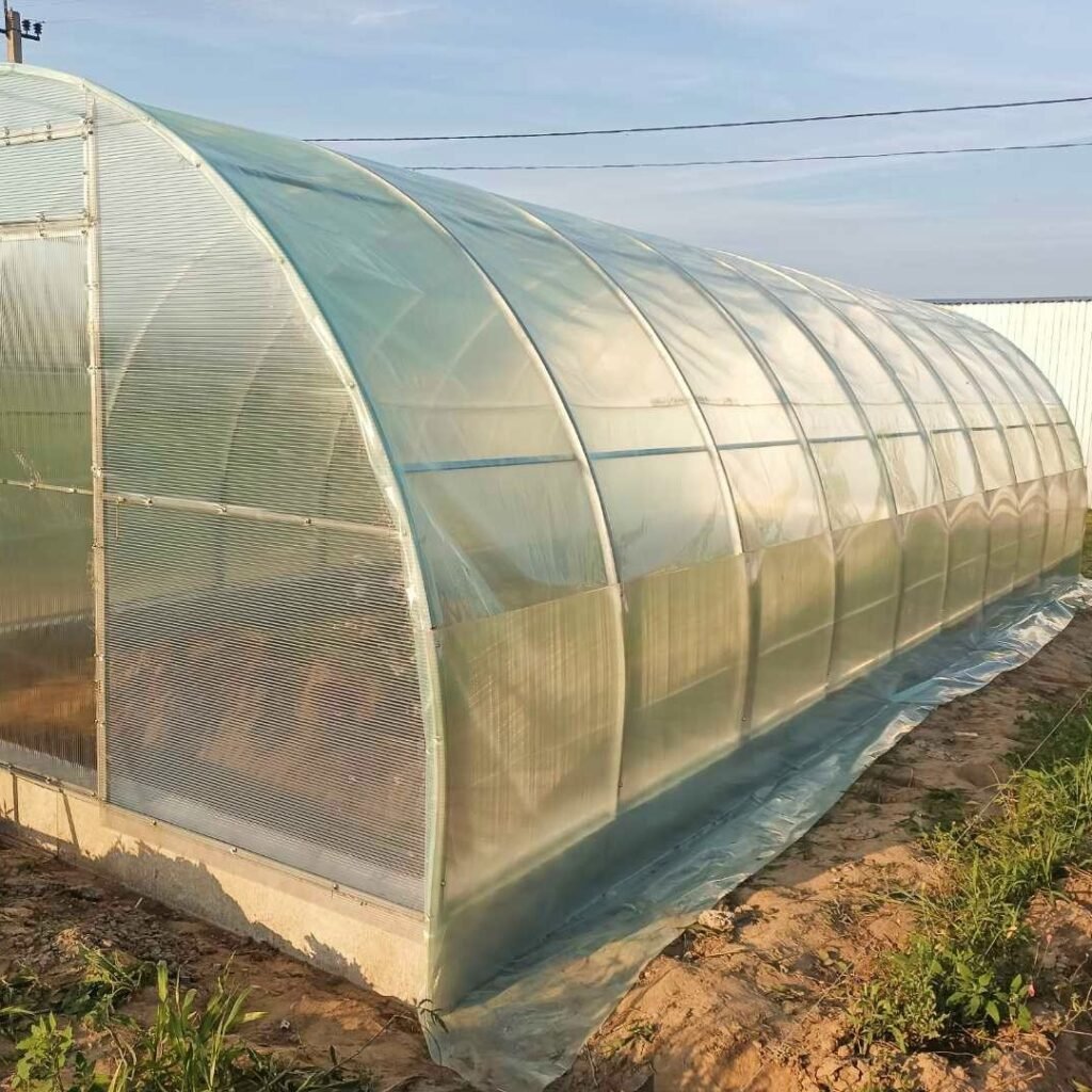 Buy Greenhouses Combi W 3m T40 (film) Length 4,6,8,10