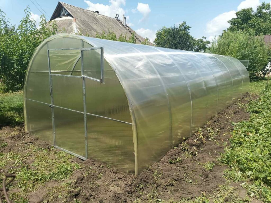 Buy Greenhouse 3x8 meters Ideal (polycarbonate)