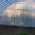 Купить Теплицы поликарбонатные шириной 5м