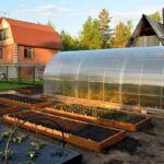 Buy Where should a greenhouse be located? How to choose the right place on the site?