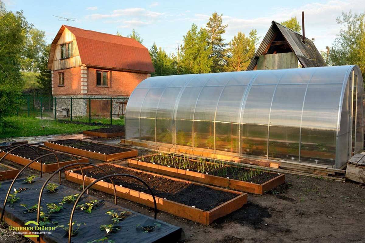 Buy Where should the greenhouse be located? How to choose the right place on the site?