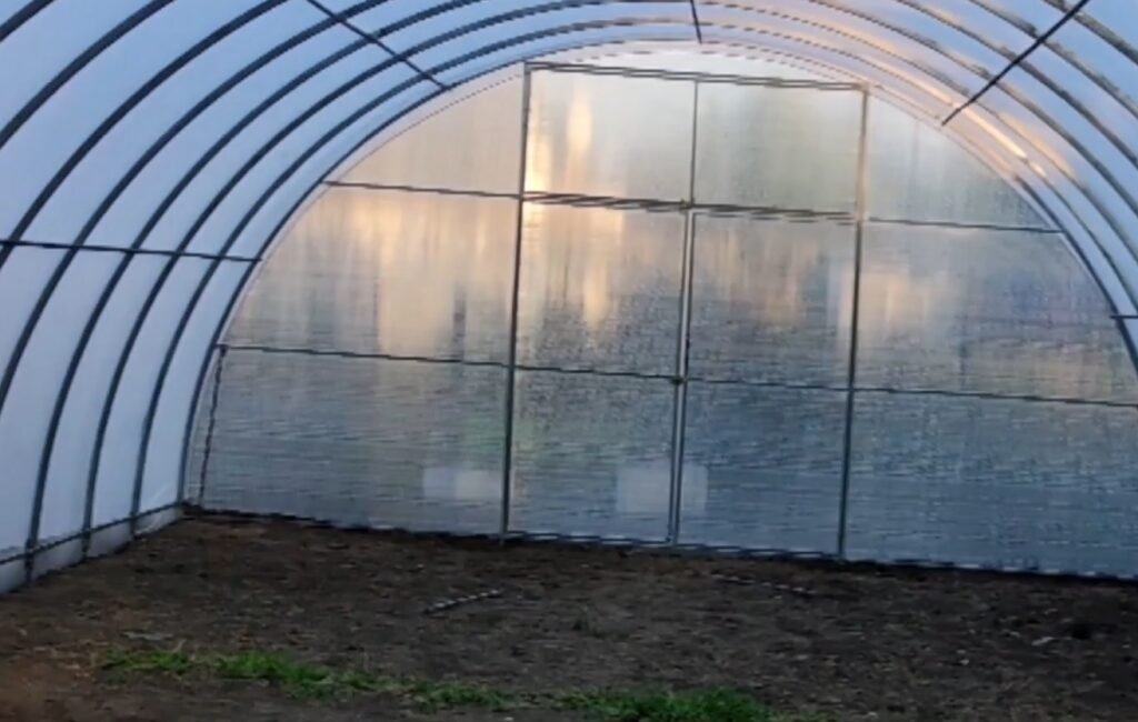 Buy Polycarbonate Greenhouses 6m wide