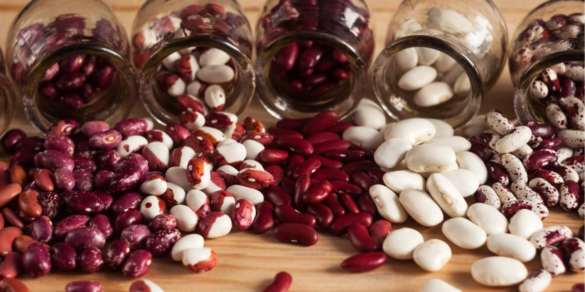 beans in a greenhouse
