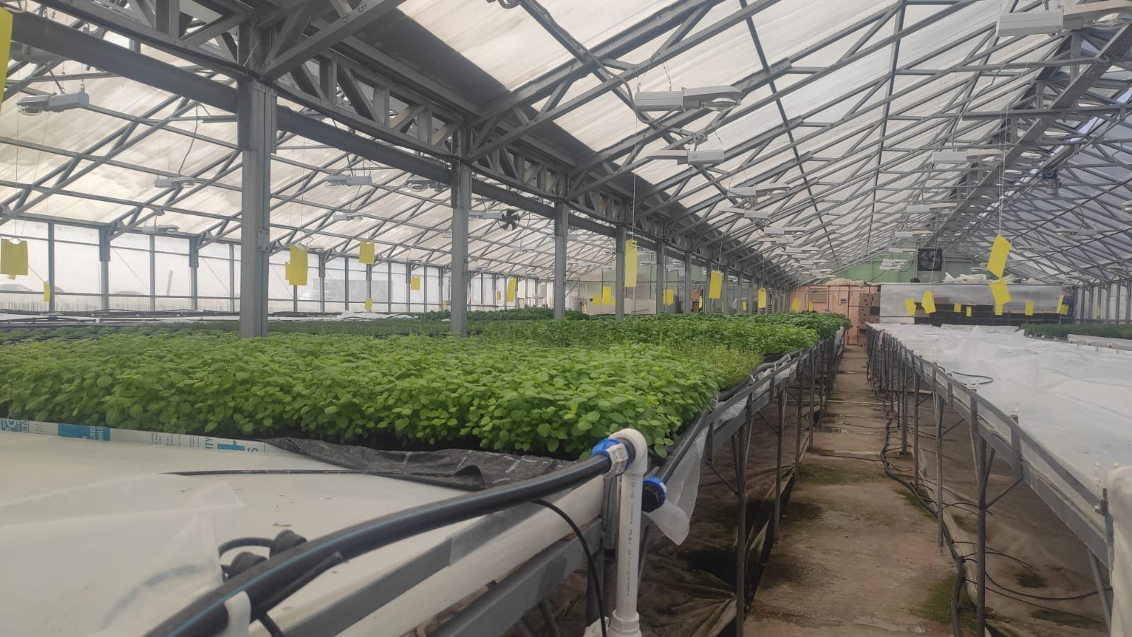 защита системы полива в теплице от мороза