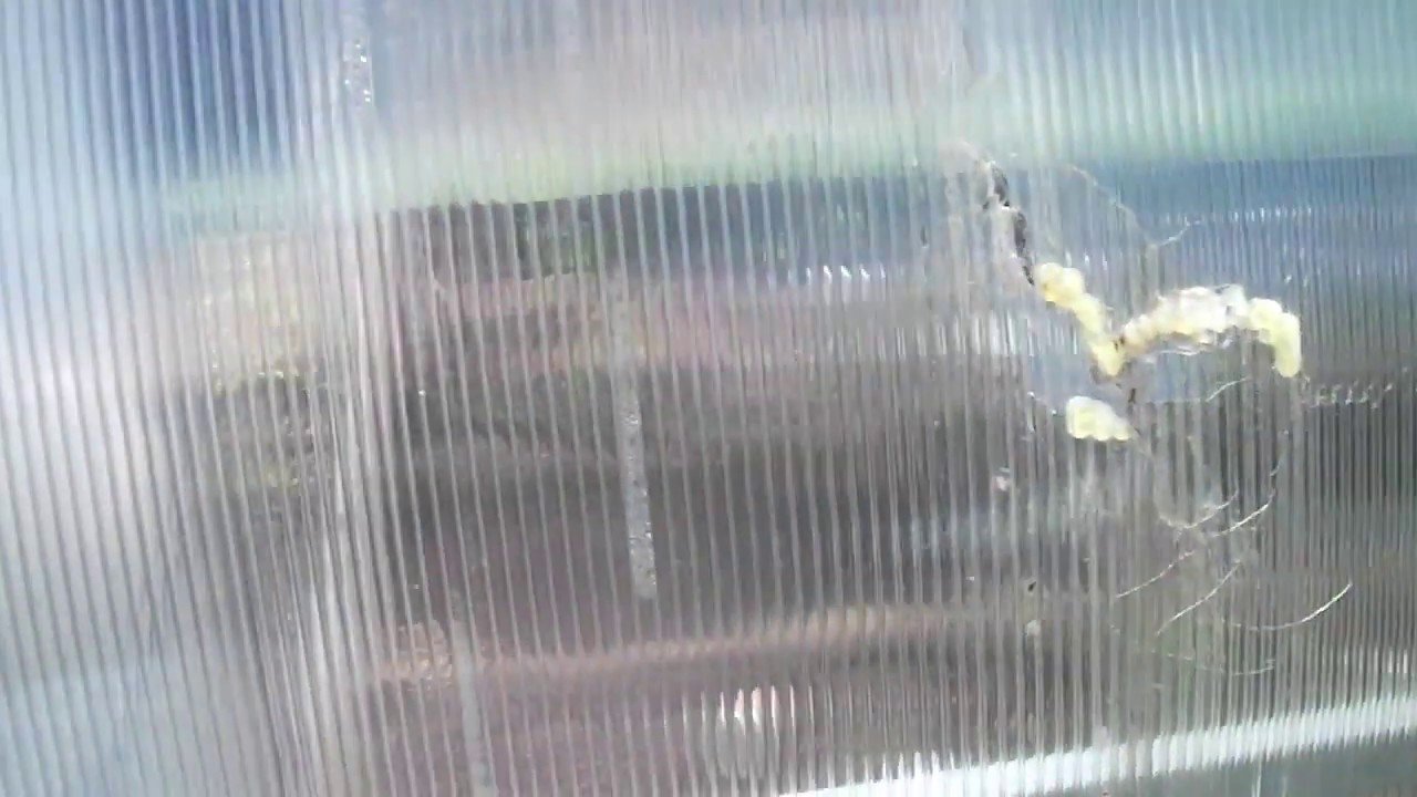 microcracks in polycarbonate