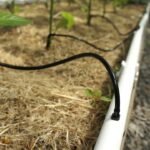 Як захистити систему поливу в теплиці від морозу: Повне керівництво інженера