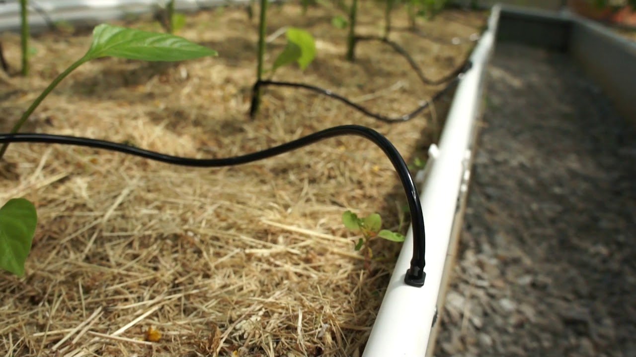 Купить Как защитить систему полива в теплице от мороза: Полное руководство инженера