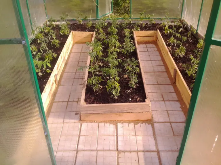 How to Check Greenhouse Drainage: A Complete Technical Guide for Maximum Yields