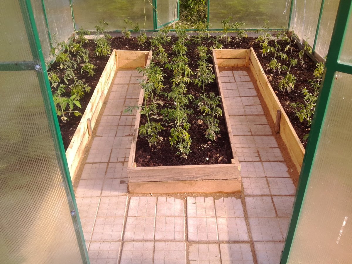 Як перевірити дренаж у теплиці: Повне технічне керівництво для максимального врожаю