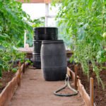 Як розрахувати водоспоживання теплиці? Повне керівництво