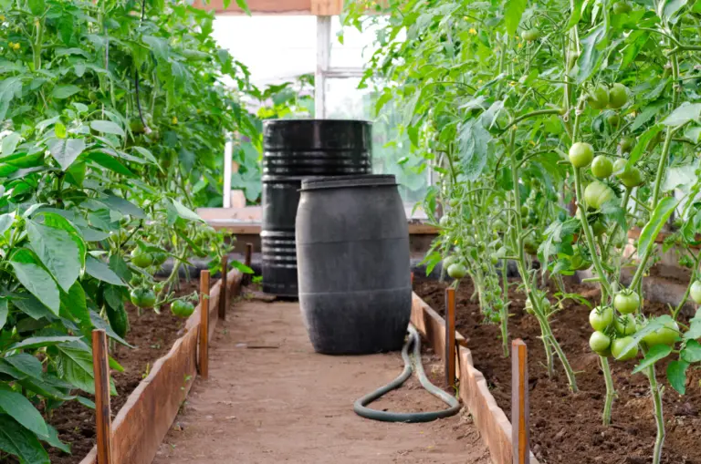 How to Calculate Greenhouse Water Use: A Complete Guide