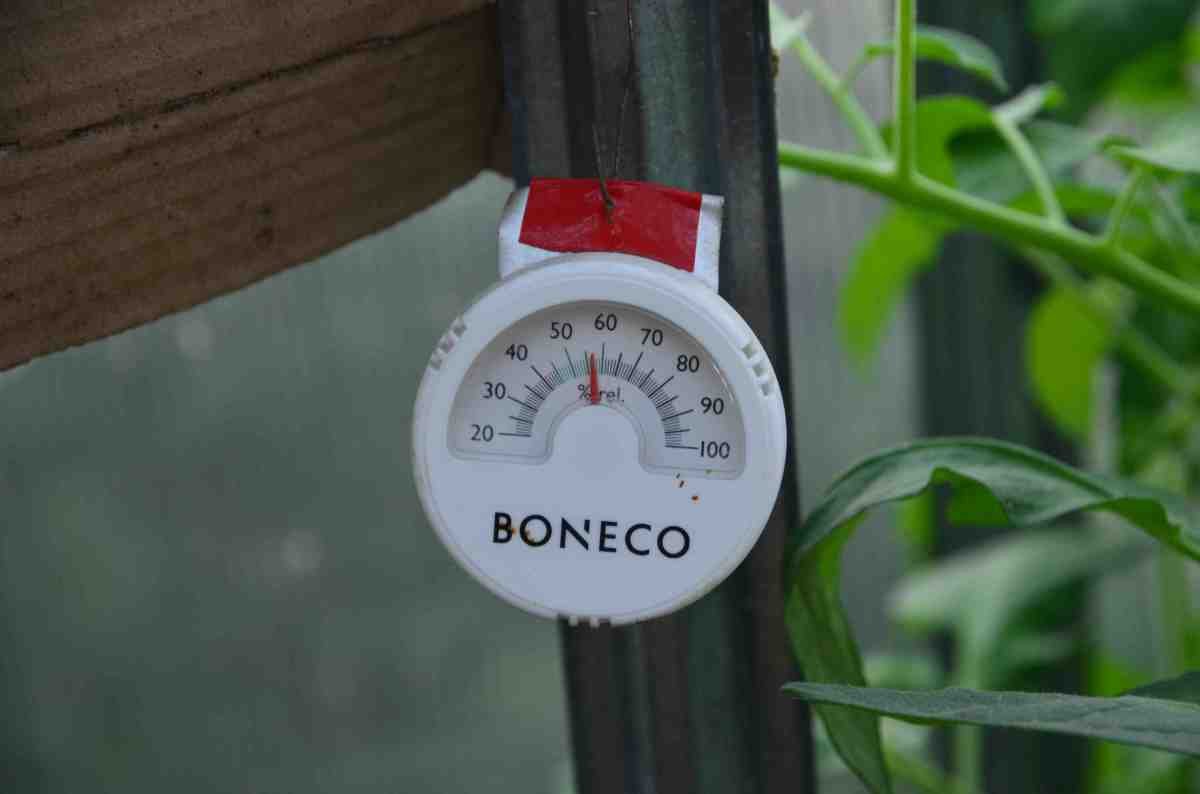 зменшити вологість у теплиці без втрати тепла