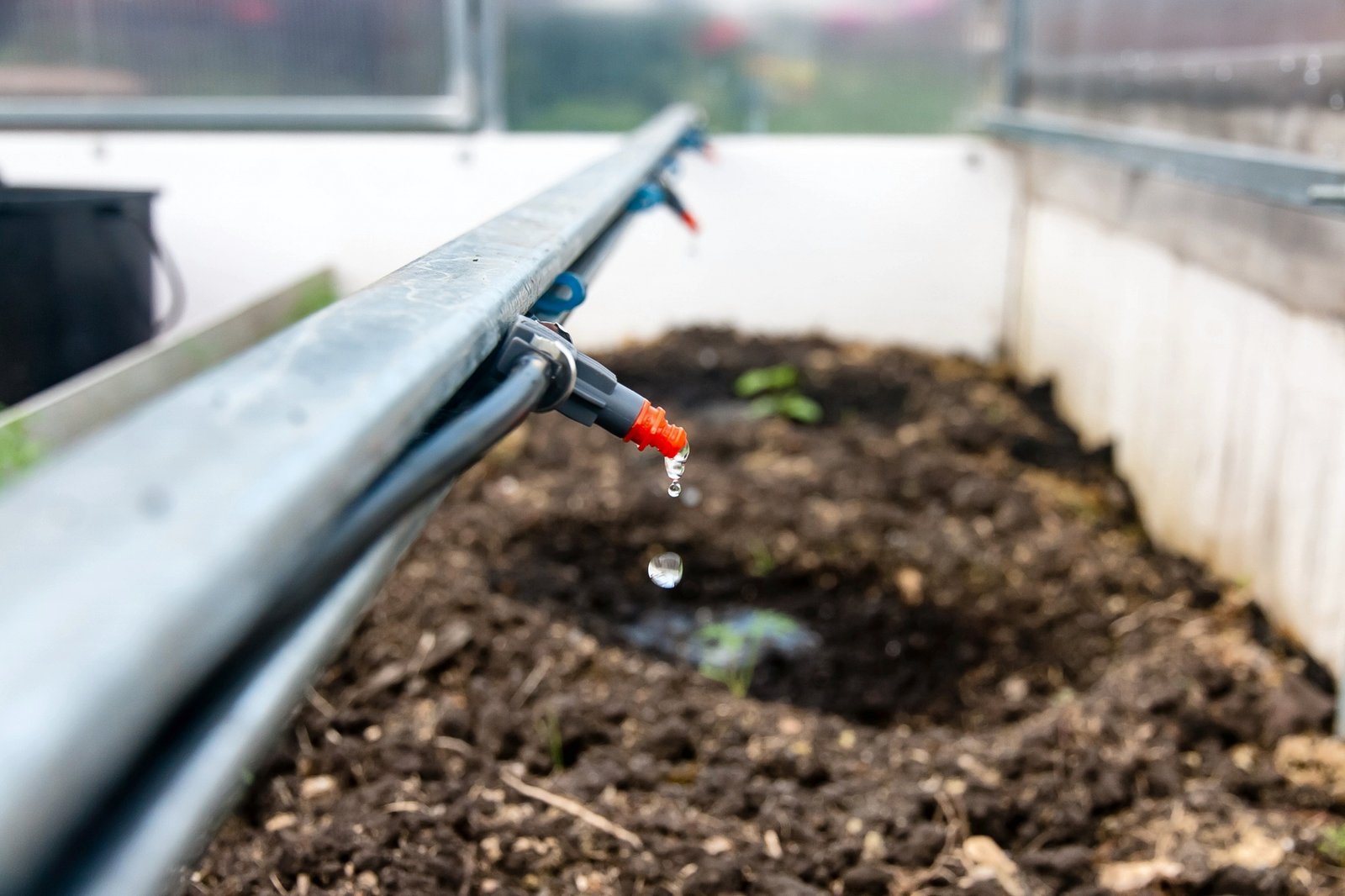 водоспоживання теплиці