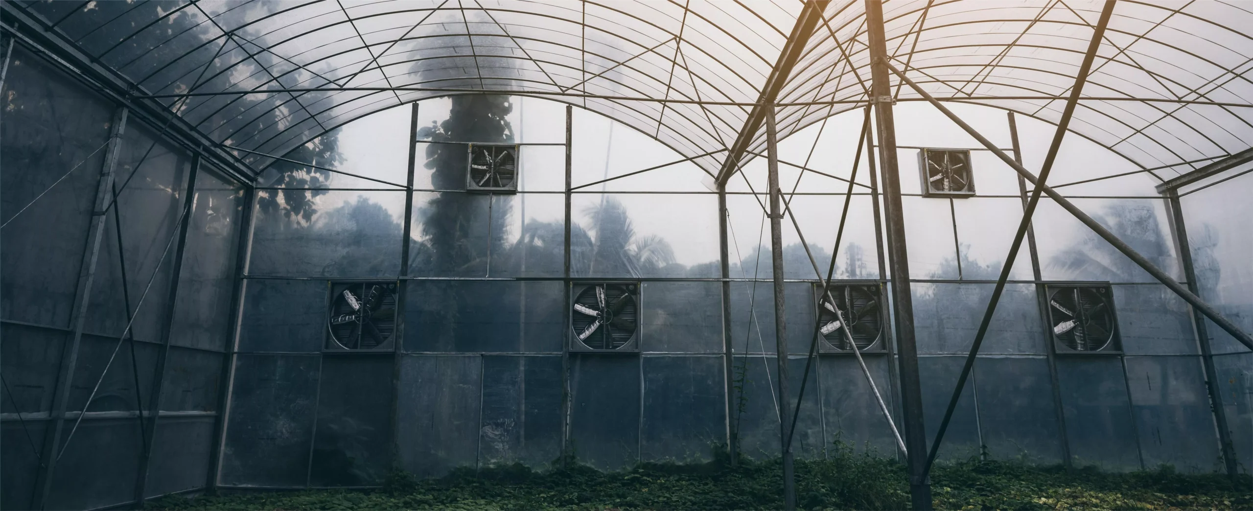 зменшити вологість у теплиці без втрати тепла