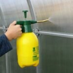Як часто потрібно проводити санітарну обробку теплиці? Періодичність, методи та стандарти