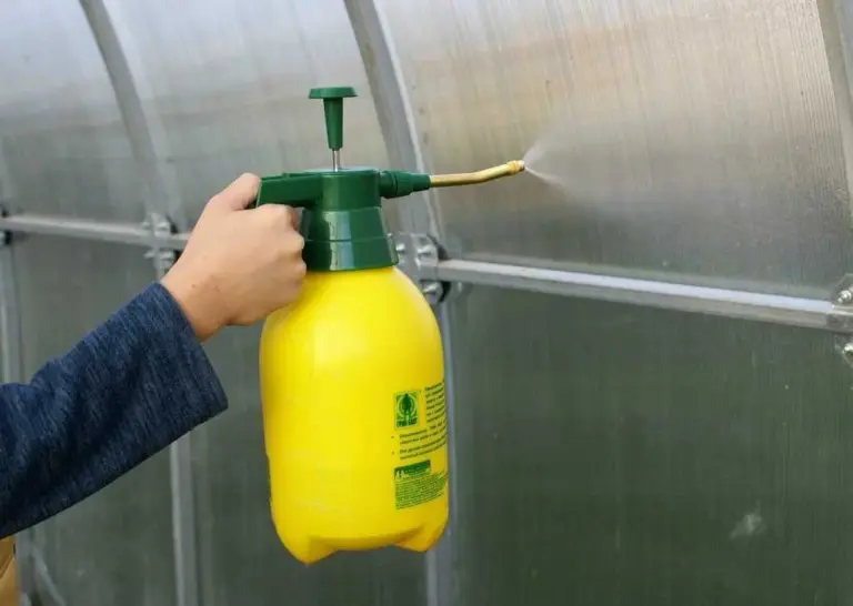 How often should a greenhouse be sanitized? Frequency, methods, and standards