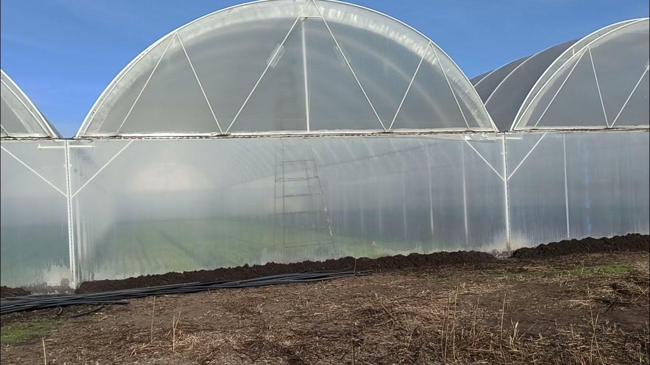 теплопотери в теплице зимой, Энергоэффективная теплица