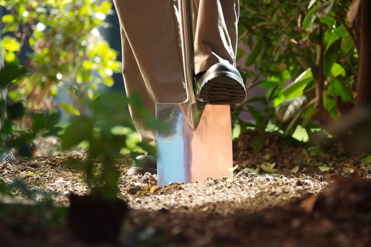 підготувати теплицю до весни