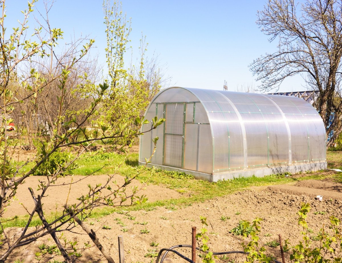 точка роси в теплиці