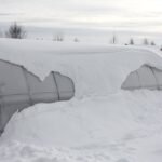 Купить Как правильно обрабатывать теплицу в межсезонье: Полное экспертное руководство