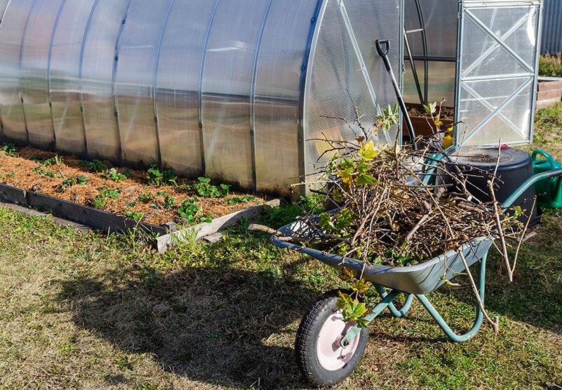 обработка теплицы в межсезонье