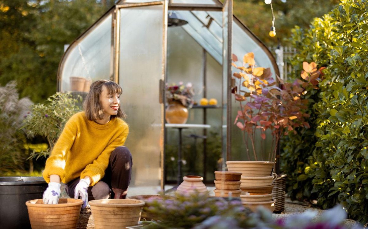 заболочування в кутах теплиці