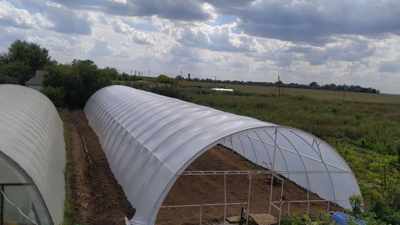 Купить Какой доход приносит теплица? Подробный расчет доходов, расходов и технических нюансов