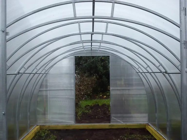 Which greenhouse is better, galvanized or painted?